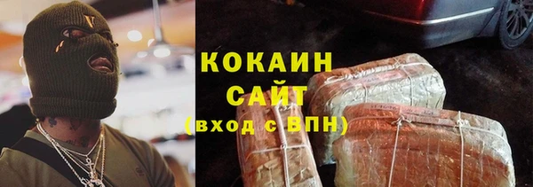 молекула духа Михайлов