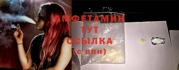 молекула духа Михайлов