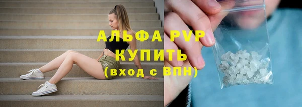 молекула духа Михайлов