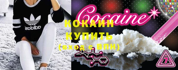 молекула духа Михайлов