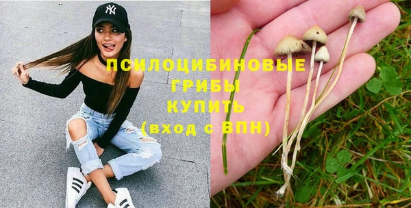 молекула духа Михайлов